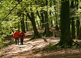 Wandern im Dreiländereck Bayern-Böhmen-Österreich