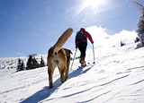 Langlauf und Winterwandern im Bayer. Wald