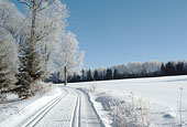 Winterlaub in der Dreiländerregion Bayerischer Wald